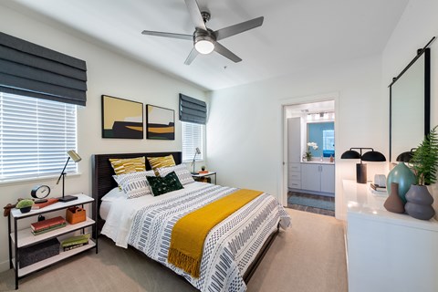 Light-Filled Rooms