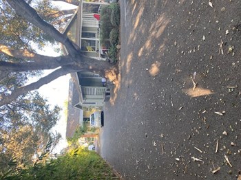 Back House - Photo Gallery 2