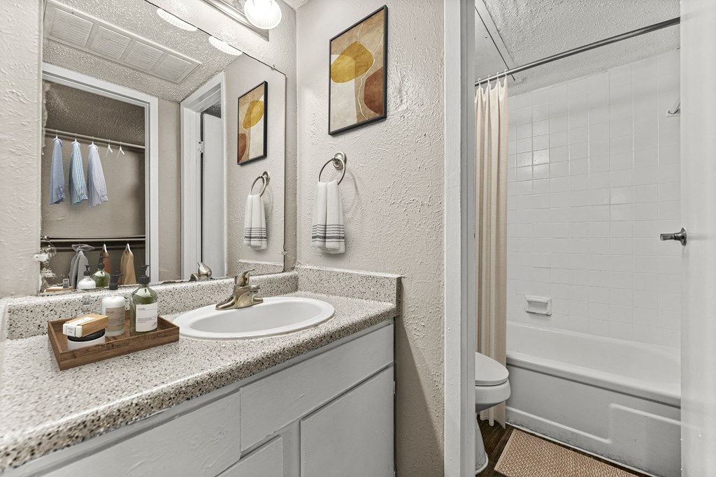 a bathroom with a sink and a shower and a mirror