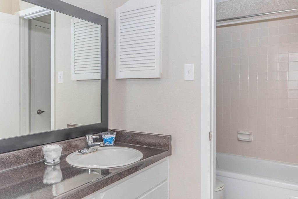 a bathroom with a sink and a mirror