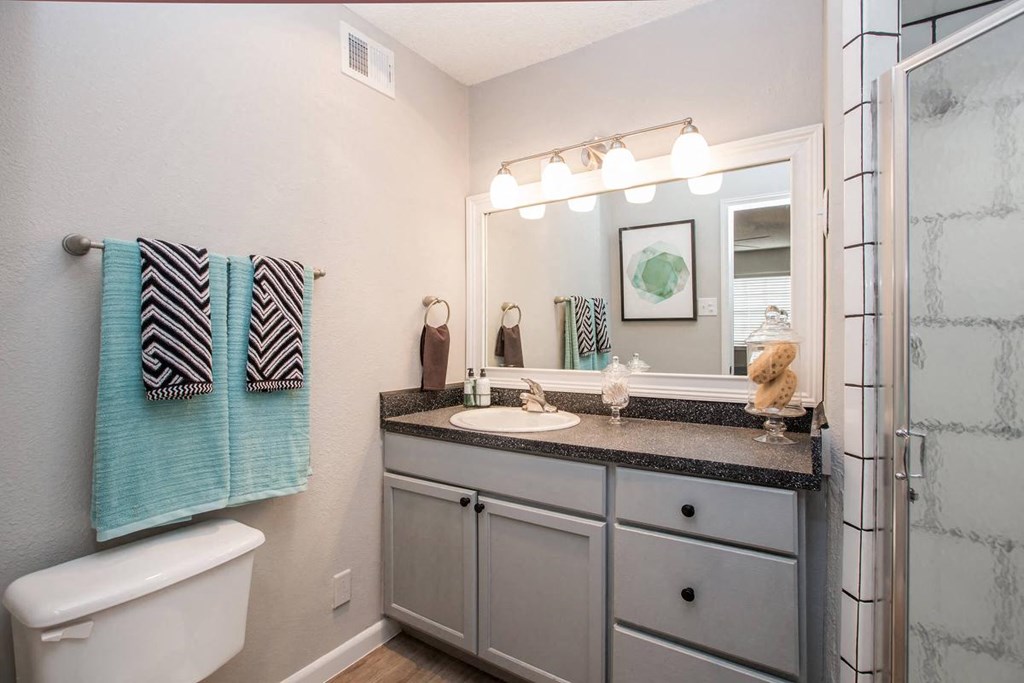 a bathroom with a sink and a mirror and a shower