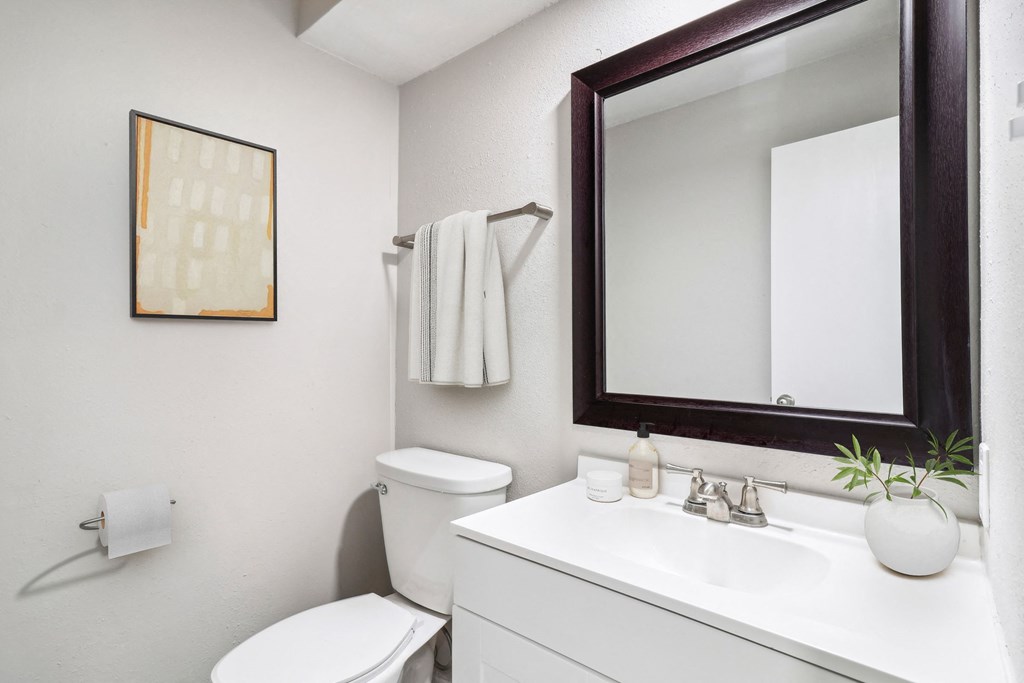 a bathroom with a mirror and a toilet and a sink