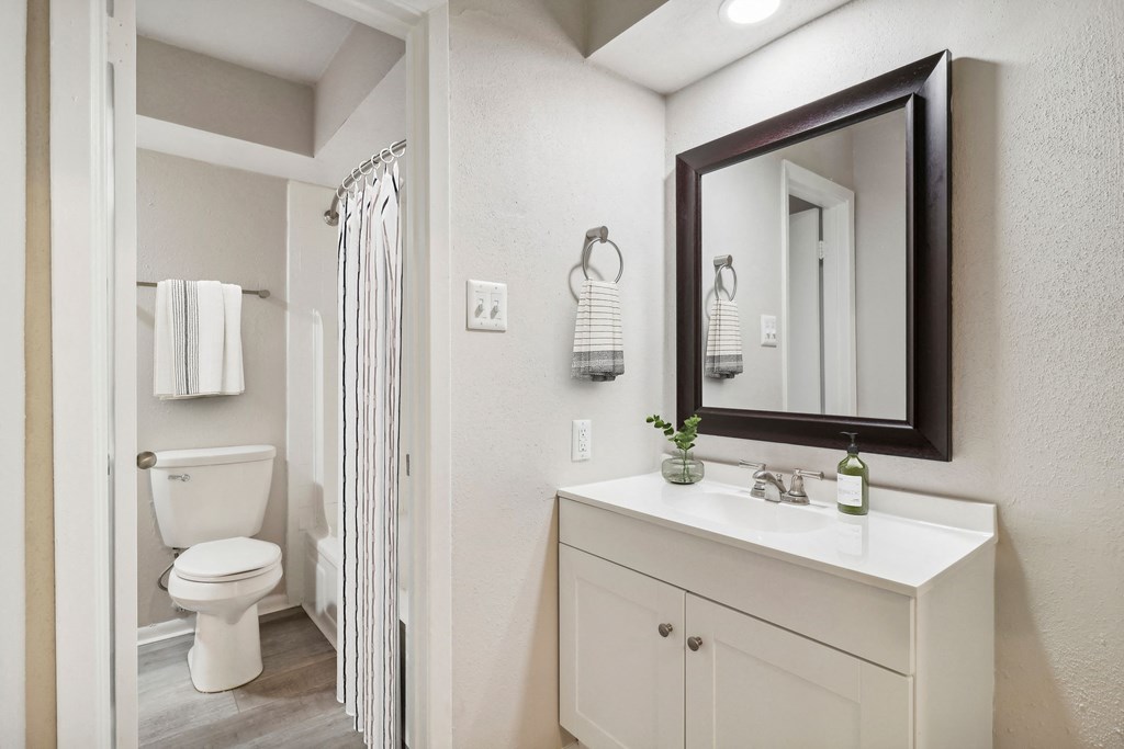 a bathroom with a toilet and a sink and a mirror