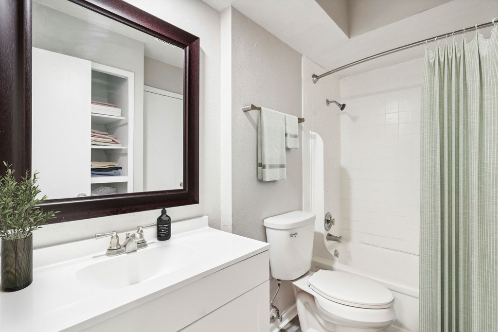 a bathroom with a toilet and a sink and a mirror