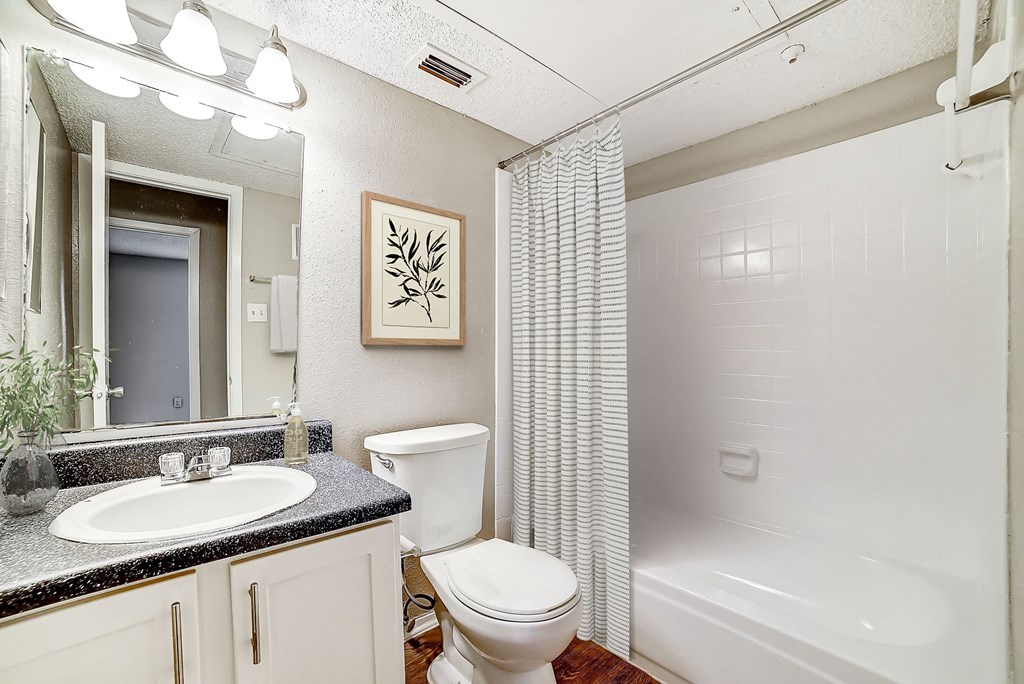 a bathroom with a shower toilet and sink