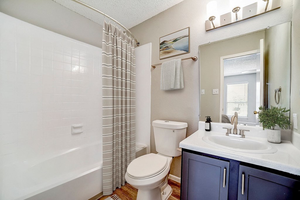 a bathroom with a toilet sink and bathtub