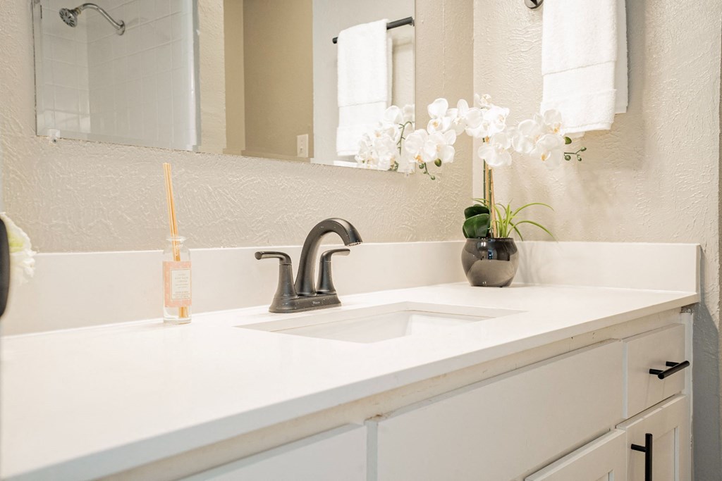 a bathroom with a sink and a mirror and a vase with flowers at Aero White Rock, Texas, 75238