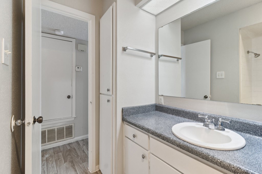 a bathroom with a sink and a mirror and a shower