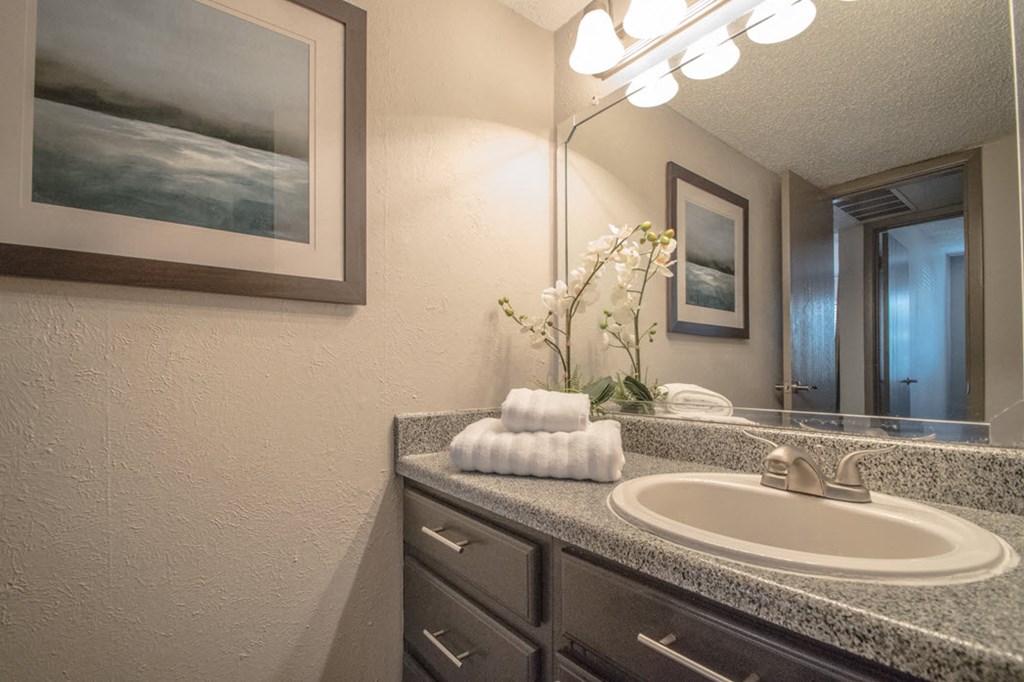 a bathroom with a sink and a mirror