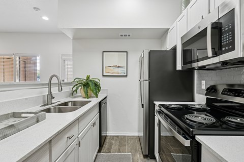 1290 Hidden Ridge 1-3 Beds Apartment for Rent