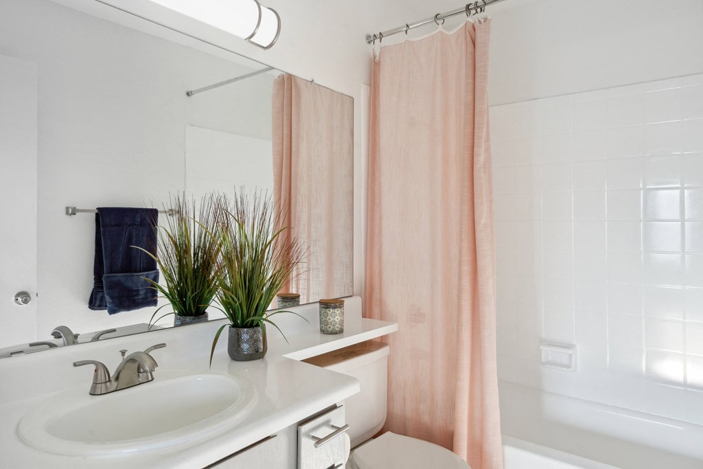 a bathroom with a sink and a toilet and a shower