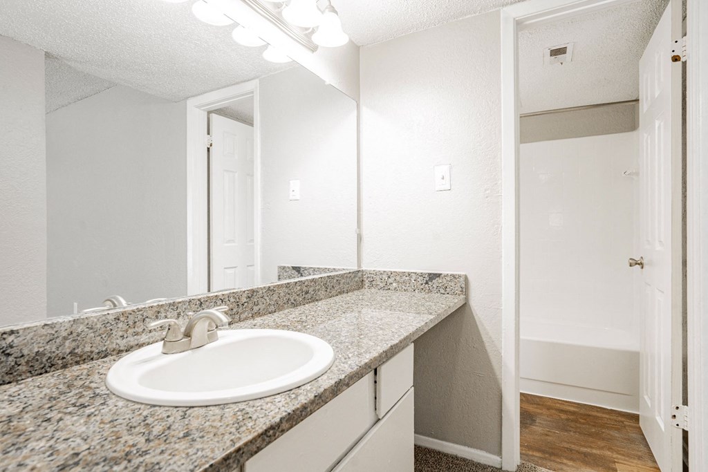 a bathroom with a sink and a mirror