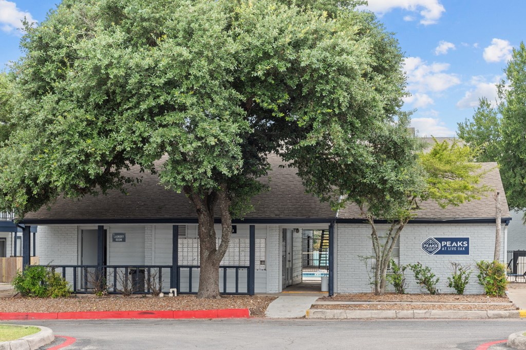 a white building with a large tree in front of it