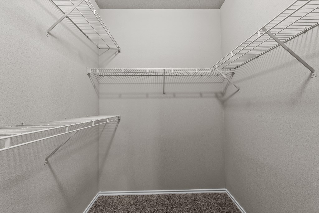 Empty walk-in closet with shelves and carpeted floor.