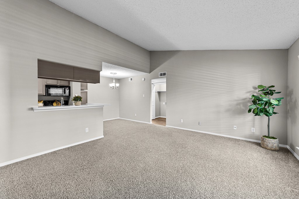 A room with a carpeted floor and a plant in a pot.