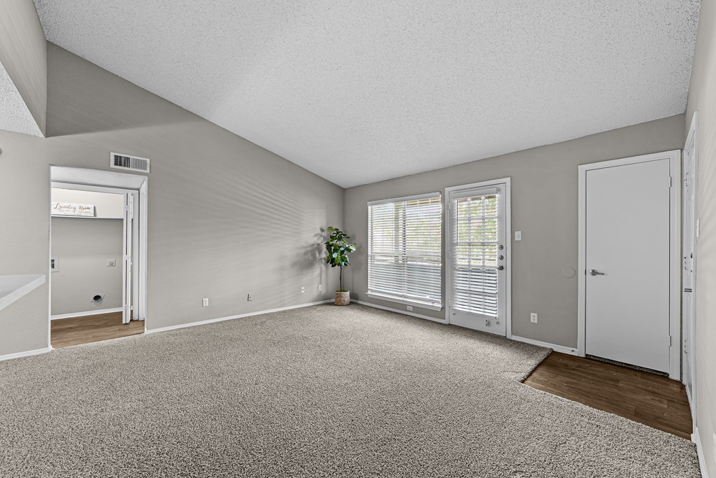 A room with a carpeted floor and a plant in a pot.