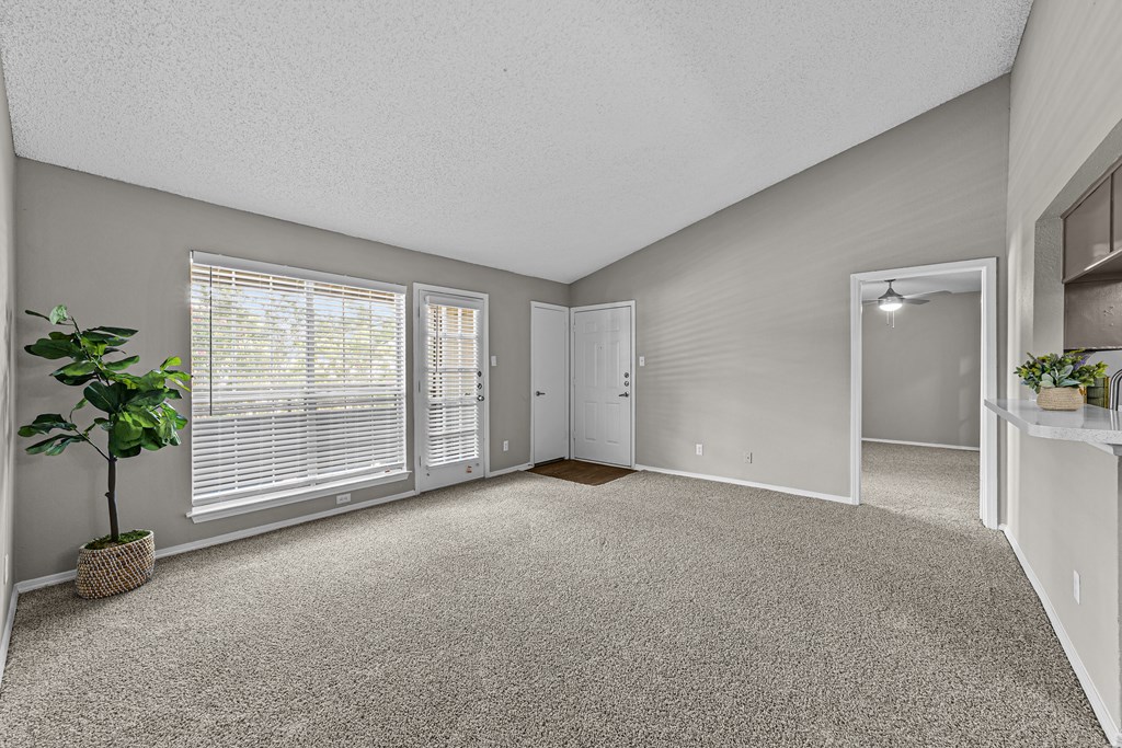 A room with a carpeted floor and a potted plant on the left.