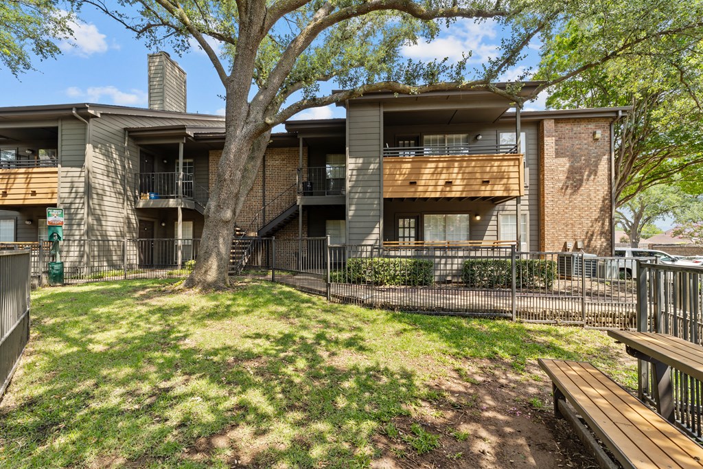A tree in front of apartment buildings.