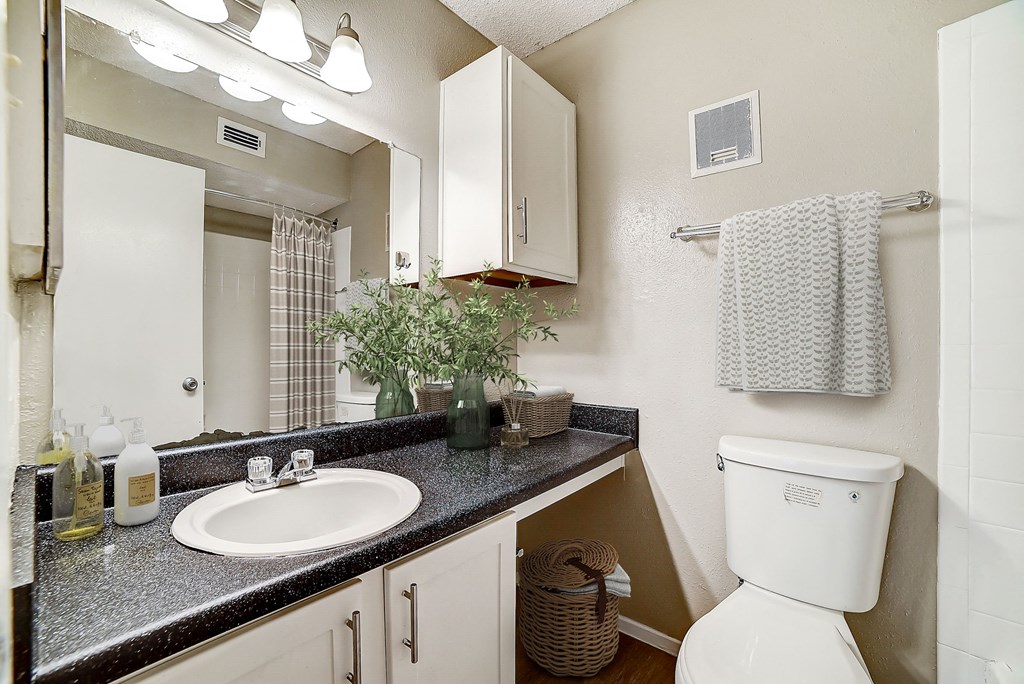 a bathroom with a sink toilet and mirror