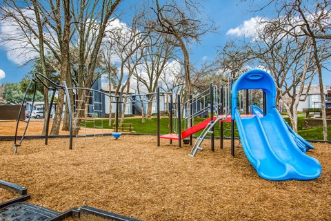 a playground with a blue slide and red slide