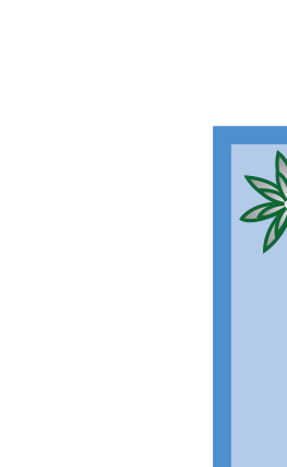 A3