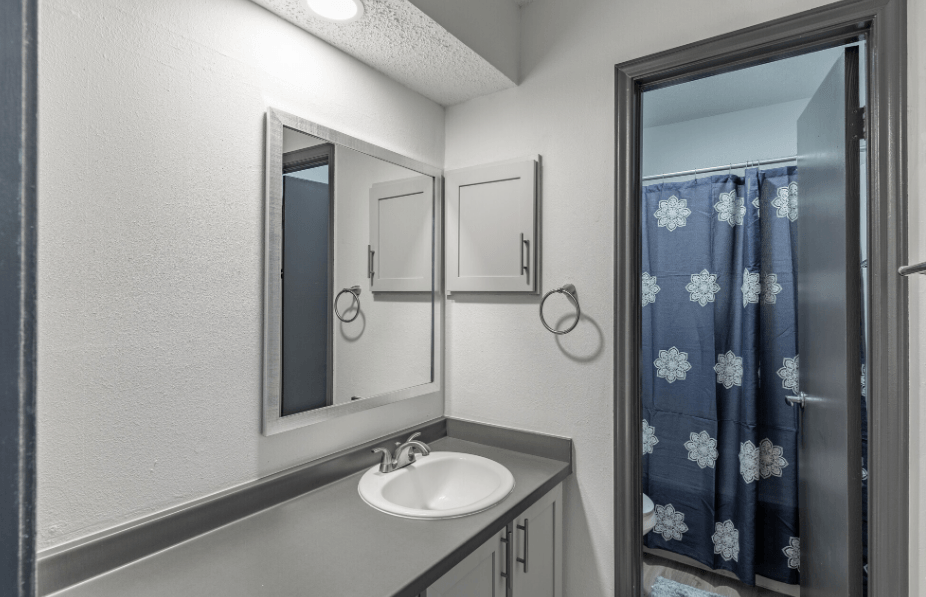 a bathroom with a sink and a mirror at Tradewinds, Texas, 78239