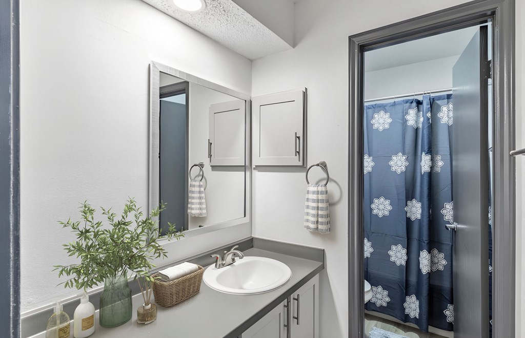 a bathroom with a sink and a mirror at Tradewinds, Texas, 78239