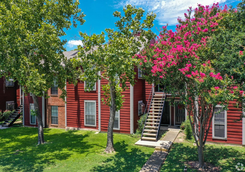 Green Landscape at Alamo Park, San Antonio Texas
