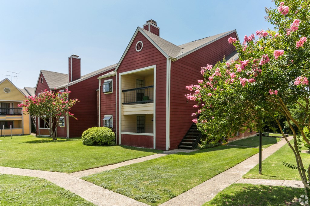 Green Outdoor at Alamo Park, San Antonio, TX  