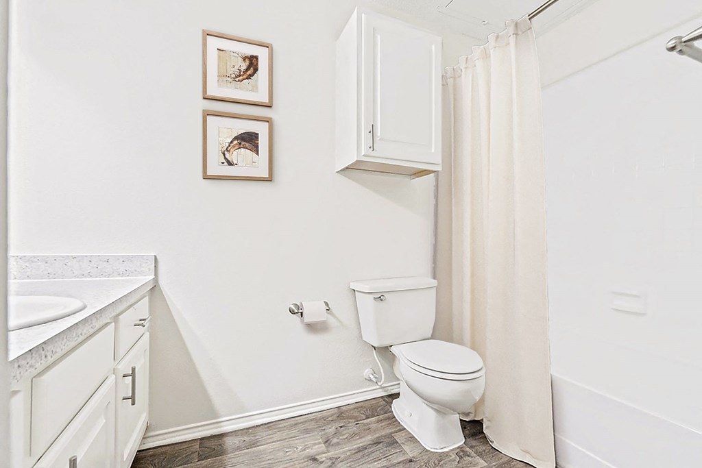 a bathroom with a shower and a toilet and a sink