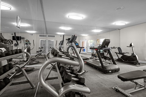 A gym with a variety of exercise equipment including treadmills, stationary bikes, and weight machines.