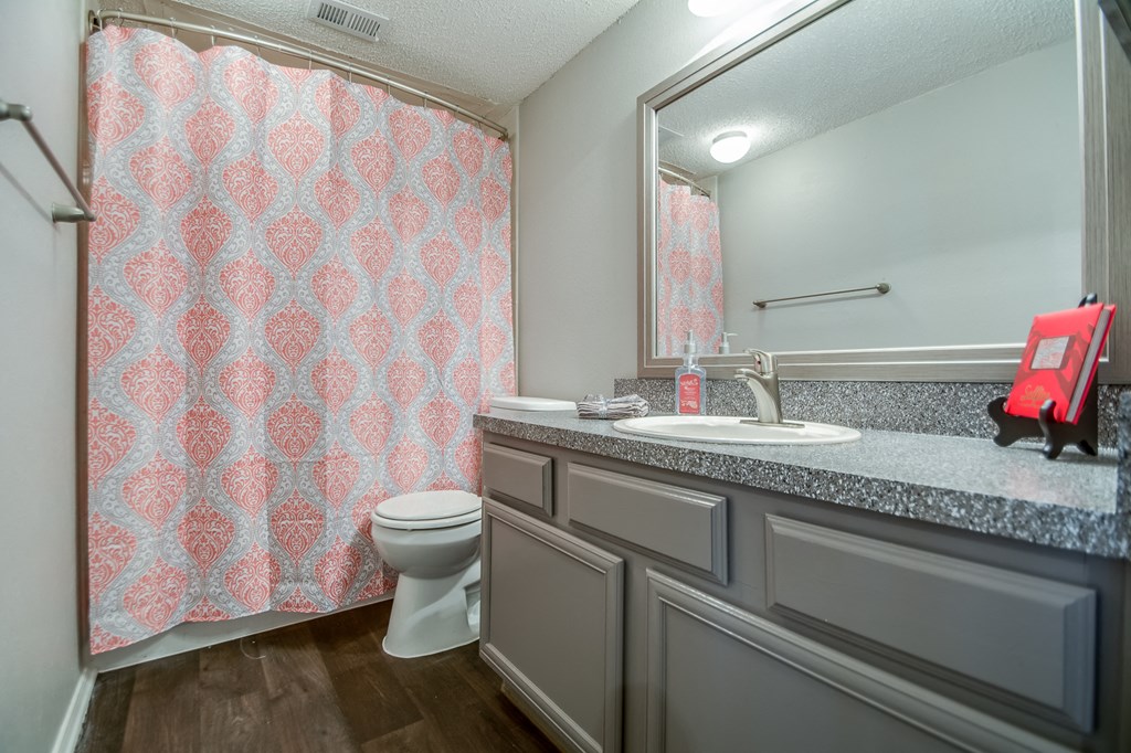 Spacious Bathrooms Spacious Bathrooms at Trinity Village Apartments, Dallas, TX