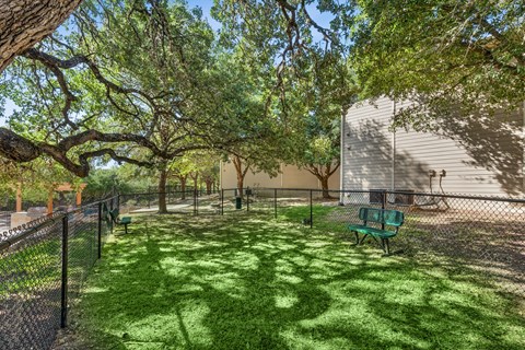 A backyard with a green lawn and a tree.