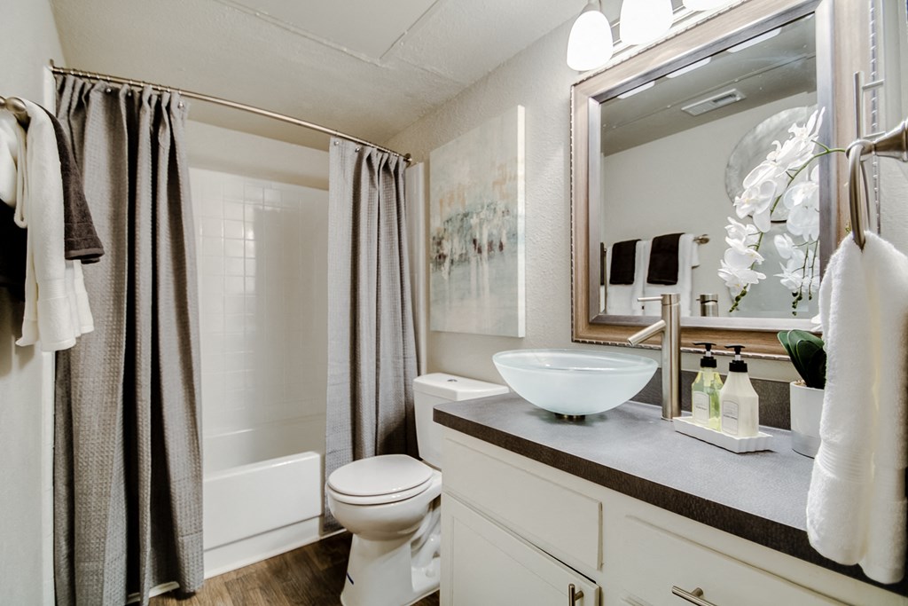 a bathroom with a sink and a toilet and a shower