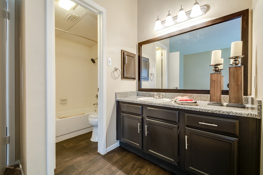 a bathroom with a large mirror and a sink and a toilet