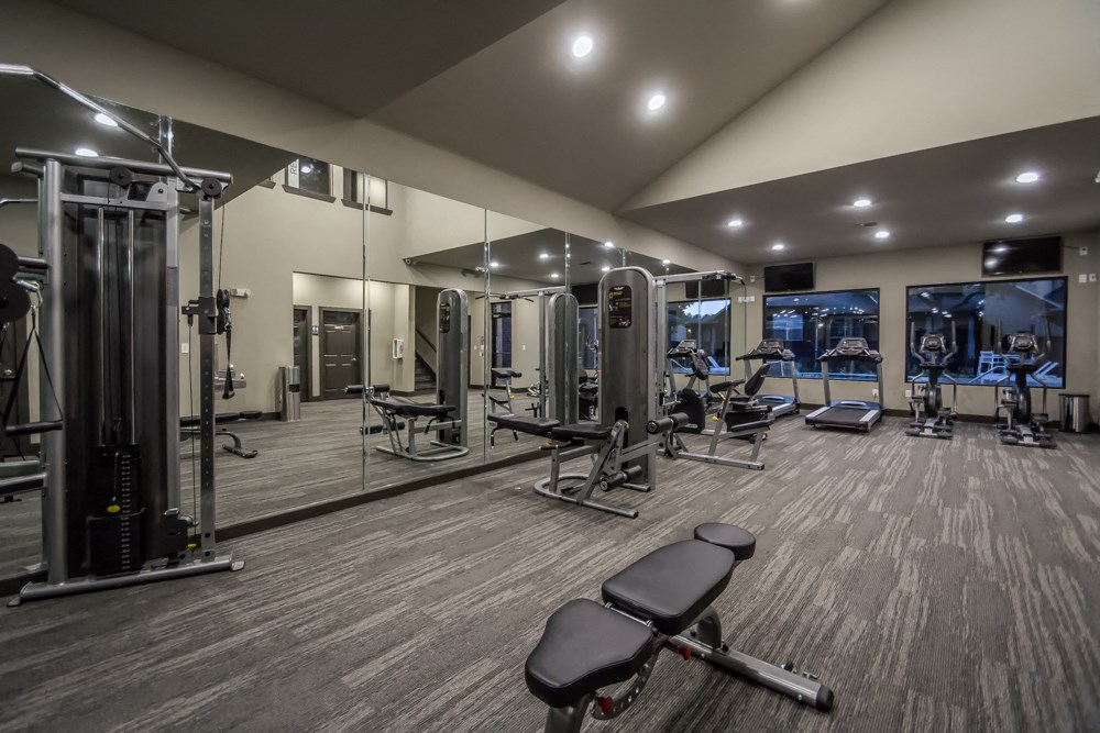 a gym with cardio equipment and mirrors in a building