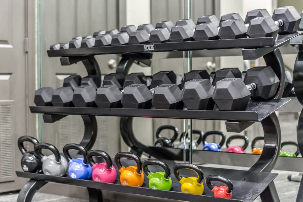 a rack with dumbbells and weights in a gym