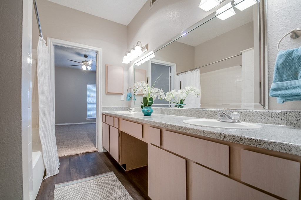 a bathroom with a large mirror and a sink
