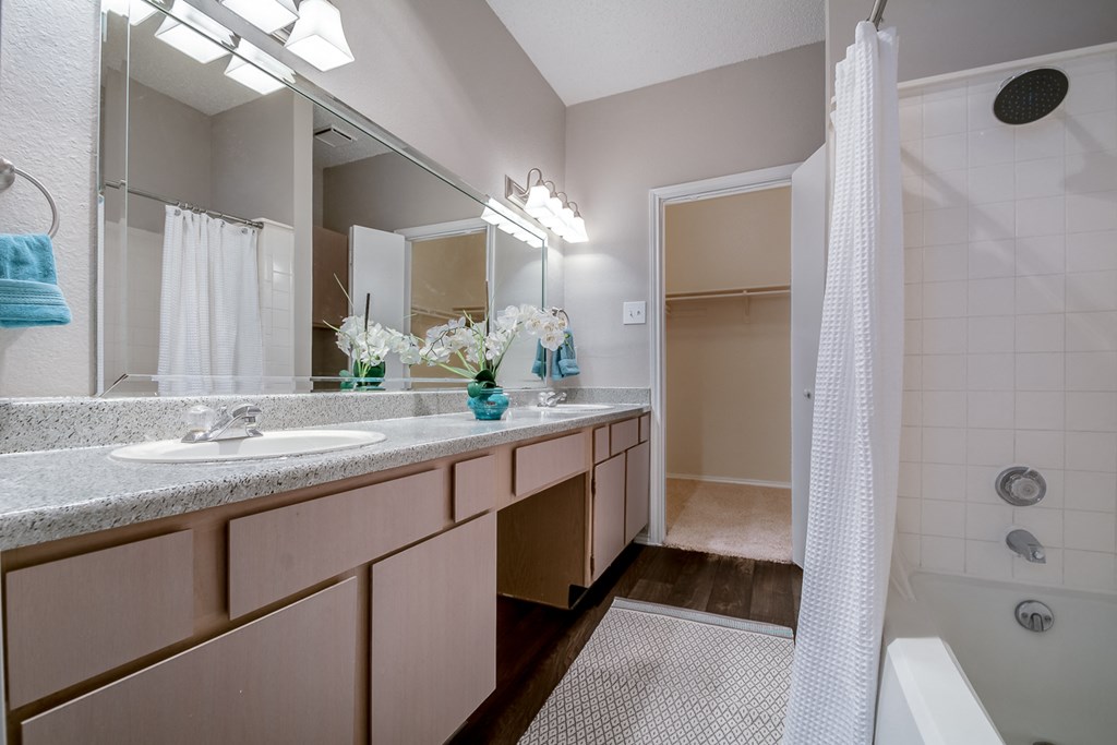 a bathroom with a shower and a sink and a mirror