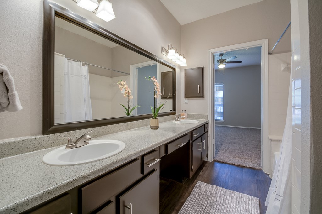 A bathroom with a sink, mirror, and a rug.