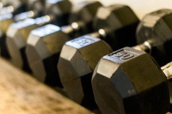 Free Weights - Photo Gallery 16