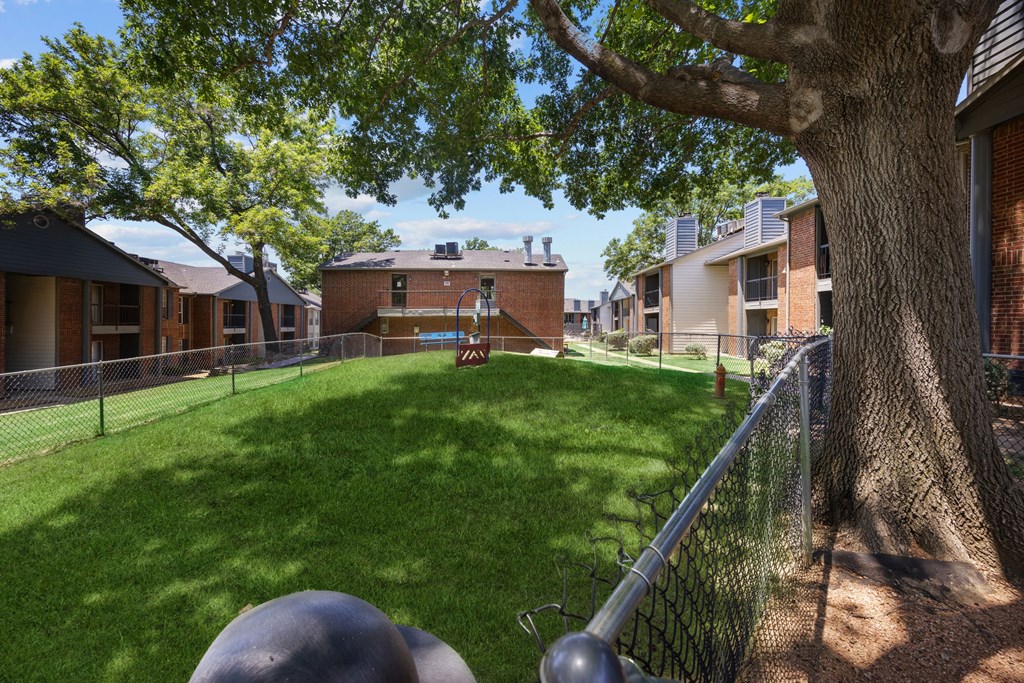A tree in a yard with a fence and houses in the background.