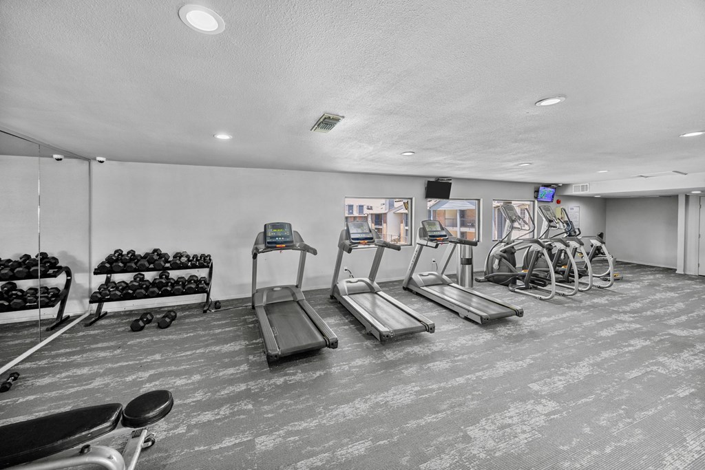 A gym with treadmills, exercise bikes, and dumbbells.