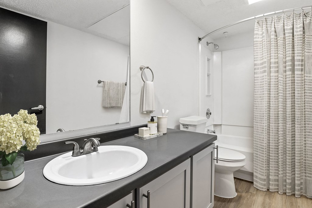 a bathroom with a sink and a toilet at Tradewinds, Texas, 78239