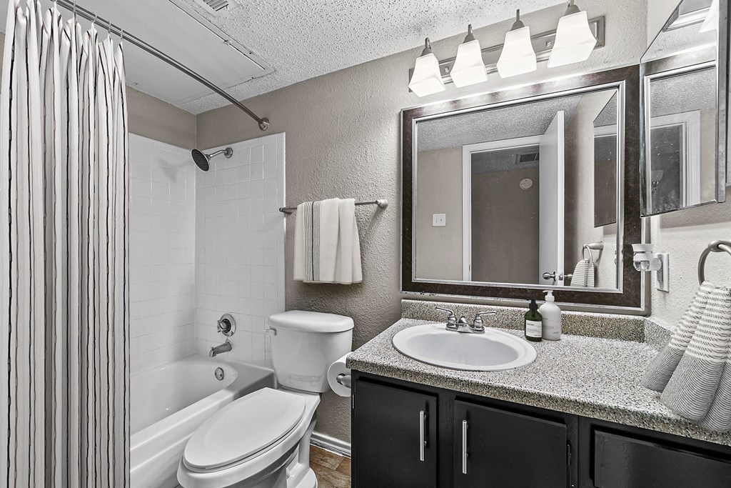 a bathroom with a sink and a toilet and a mirror