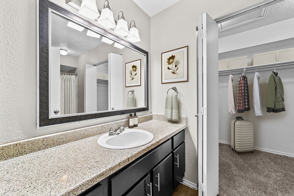 a bathroom with a large mirror and a sink