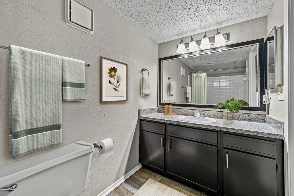 a bathroom with a sink and a mirror and a tub at Legacy Apartments in Plano, TX