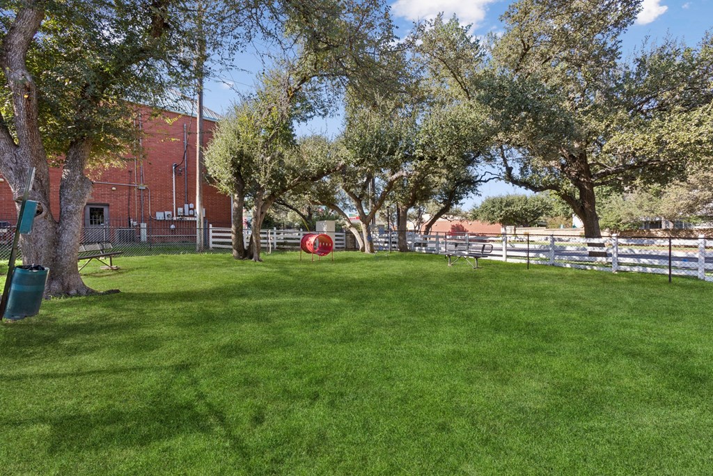 A green lawn with trees and a fence in the background.