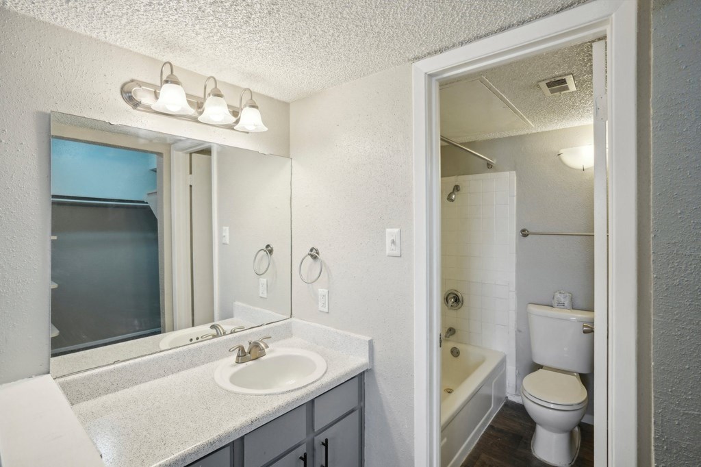 a bathroom with a sink and a mirror and a toilet