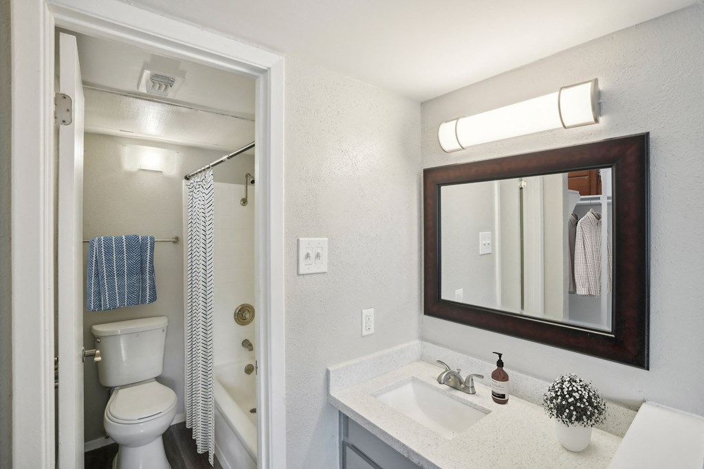 a bathroom with a mirror and a sink and a shower